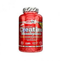 Creatine Monohydrate - Amix-500kaps