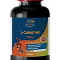 CarniPure Powder - L-CARNITINE 500MG - Increases Blood Flow to the Heart - 1 Bot