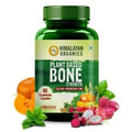 Himalayan Organics Plant Based Bone Strength Supplement With Vitamin D3,C,K,Calc