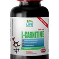 carnitine amino acid - L-CARNITINE 500mg 1 Bottle - increase endurance