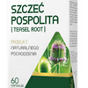 Medica Herbs Common Teasel Root - 60 capsules - Teasel