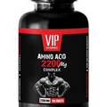 muscle building post workout - AMINO ACID 2200MG 1B - amino acids working out