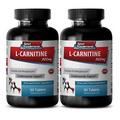 Testosterone Booster B0 - L-Carnitine 510mg 2B - Carnitine Burn Fat Tablets