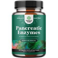 Pancreatin Digestive Enzymes for Digestive Health