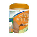Growing Naturals Organic Rice Protein Chocolate Power - 1 lb (6 Pack)