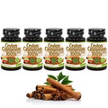 Ceylon Cinnamon True Cinnamon Antioxidant Blood sugar control 5 x 80 caps