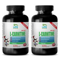 l-carnitine l-tartrate - L-CARNITINE 500mg 2 Bottles - weight loss supplement