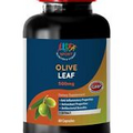 olive leaf capsules - OLIVE LEAF EXTRACT 500MG - anti inflammatory 1B