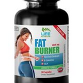 fat burning pills - Fat Burner Complex 2645mg - healthy weight loss 1B