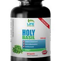 holy basil herb - Holy Basil Extract 750mg 1B - rich in antioxidants