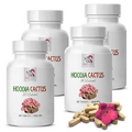 hoodia gordonii capsules - HOODIA CACTUS 20:1 EXTRACT - weight loss for men - appetite suppressant diet, hoodia gordonii kalahari desert, hoodia appetite suppressant, hoodia extract, 4B 240 Tablets