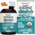 Organic Iodine Supplement - Sea Vegetable Complex - Whole Food, Raw Form - 250mc