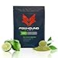 Foxhound Fuel Keto Pre Workout Powder Electrolytes Drink Mix, Sugar Free Preworkout for Men & Women, Supports Energy, Hydration, with B Vitamins, Vegan, Clean & Natural, Matcha Green Tea, 25 Servings