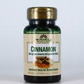 Cinnamon 500 mg By Windmill Support Blood Sugar 60 Caplet