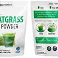 Organic Wheatgrass Juice Powder - Grown in USA, Raw, Vegan, Non-GMO - 100%...
