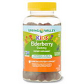 Spring Valley Kids Non GMO Vitamin C Vegetarian Gummies, Elderberry, 120 Count