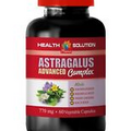 astragalus root - Astragalus Root Complex 770mg - increase immune cells 1B