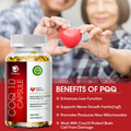 Stamina Support Heart Health & 300MG Coenzyme Q-10 Supplement - Increase Energy