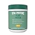Vital Proteins Vegan Protein Powder – 20g Plant Based Protein with Chickpea – 1B CFU Probiotic for Gut Health, No Added Sugar – Vanilla, 15 oz