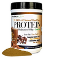 Pure 100% Grass Fed Whey Protein Low Carb Double Dutch Chocolate Flavor No Artificial Sweeteners or Flavors Ultrafiltered with Branched Chain Amino Acids and 1000 mg L-Glutamine. 1.7 Pounds