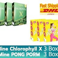 6 X Mine PONG PORM + Mine Chlorophyll X Weight Loss Control 5 Sachets DHLExpress