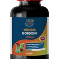 HARDCORE Weight Loss - Hoodia Gordonii 2000mg Extract - Burn Calories - 1B 60Ct