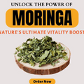 Premium Dried Moringa Leaves - Nature's Nutrient-Rich Superfood