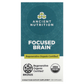 Ancient Nutrition, Focused Brain, 90 Capsules