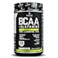 SASCHA FITNESS BCAA 4:1:1 + Glutamine,HMB,L-Carnitine,HICA | Powerful and Instant Powder Blend with Branched Chain Amino Acids (BCAAs) for Pre, Intra and Post-Workout |Natural Lemon Lime Flavor,362.5g