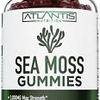 Sea Moss Gummies 3000mg - Irish sea Moss raw Bladderwrack Burdock Root for Adult