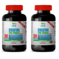 protein metabolism - CREATINE TRI-PHASE 5000mg 2B - reduce fatigue and tiredness