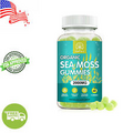 Natural Sea Moss Gummies - Irish sea Moss Raw Bladderwrack,Burdock Root 60Pcs