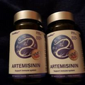 Zenlifer Artemisinin Supplement 600Mg Immune Support 2 pack 240 Capsules Total