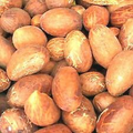 African  Fresh Bitter Kola nuts 8oz : 20 nuts