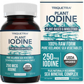 Organic Iodine Supplement from Sea Vegetable Complex, Whole Food & Raw Form