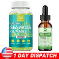 Organic Sea Moss Gummies Irish Sea Moss Drops Burdock Root Immune System Support