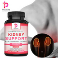 Kidney Support - with Cranberry, Astragals - Kidney Detox and Bladder Cleanse