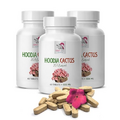 hoodia gordonii pills - HOODIA CACTUS 20:1 EXTRACT - weight loss for women - appetite suppressant for weight loss women hoodia, hoodia gordonii kalahari desert, hoodia cactus, 3 Bottles 180 Tablets