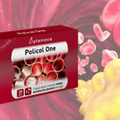 Policol One, For Healthy Blood Cholesterol Levels, 30 Capsules.