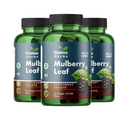 Genius Herbs Mulberry Leaf Tablets 1000 mg Mulberry Leaf Tablets 1000 mg 180 Tablets Per Bottle|Best Antioxidants|Enhances Skin Health | Fiber Rich Supplement | Pack of 3