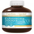 HERBS OF GOLD ECHINACEA 2000+ - ALL SIZES - IMMUNE FUNCTION + FREE SHIPPING