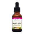 Teasel Root 1 Oz By Eclectic Herb