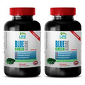 Brain Boost Capsules - Blue Green Algae 500mg - Wheat Grass Seeds 2B