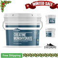 Micronized Creatine Monohydrate Powder - Unflavored - 476 Servings