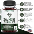 Sea Moss Gummies 3000mg - Irish sea Moss Bladderwrack & Burdock Root EXP 10/24