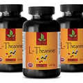 immune support - L-THEANINE 200mg - L-Theanine Relax Powder - 3 Bottles