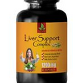 liver protection - LIVER SUPPORT COMPLEX - liver detox powder - 60 Capsules