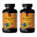 brain booster supplements - MAX EYE VISION SUPPORT - bilberry complex -2 Bottles