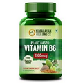 Organic Plant-Based Vitamin B6 | Supports Immunity, Brain Health 120 Capsules