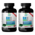 Boost Mental Focus Capsules - Blue Green Algae 500mg - Blue Algae 2B